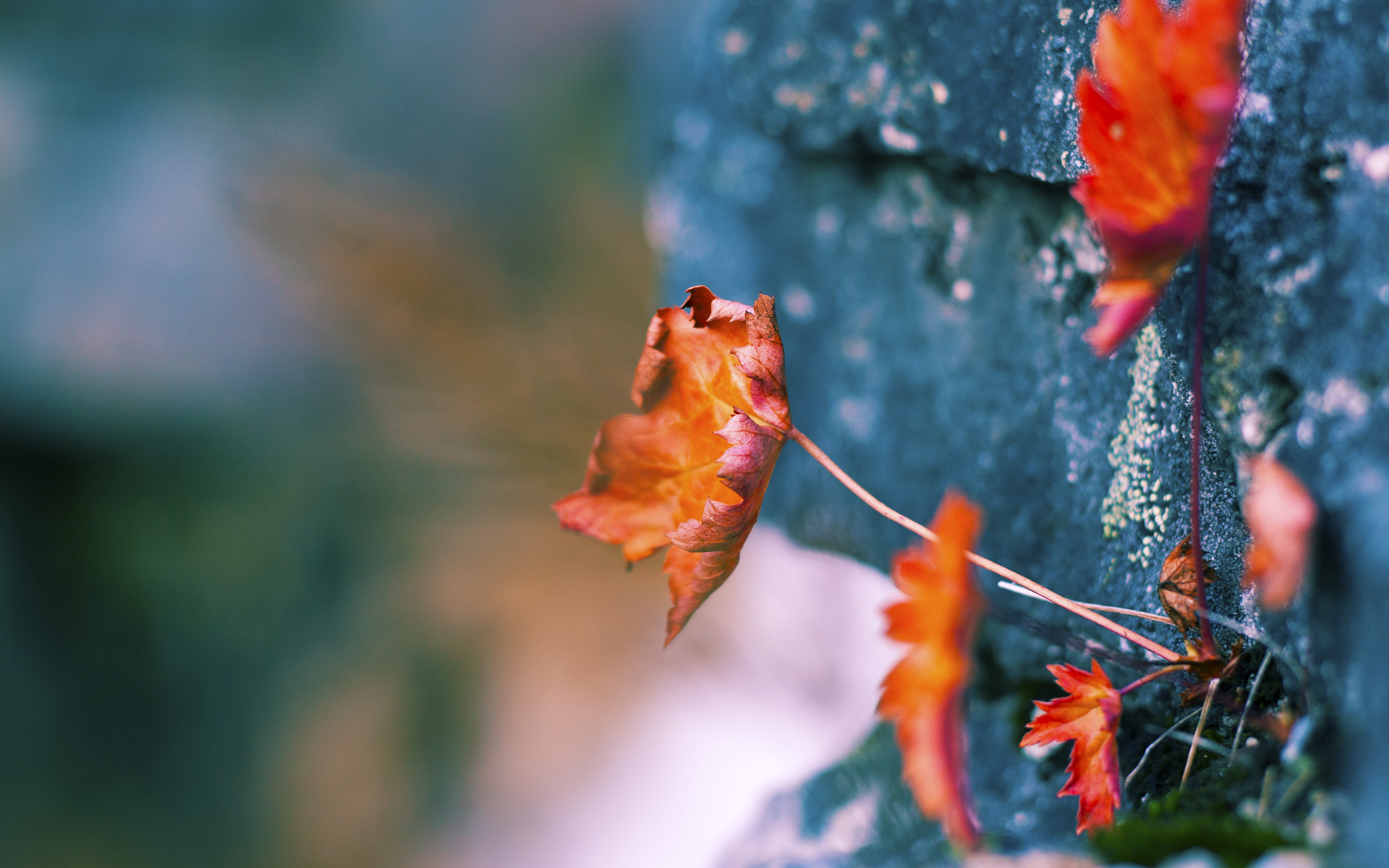 0.4秒绝杀之后，老鹰证明，无论落后多少，信念都是最后的子弹