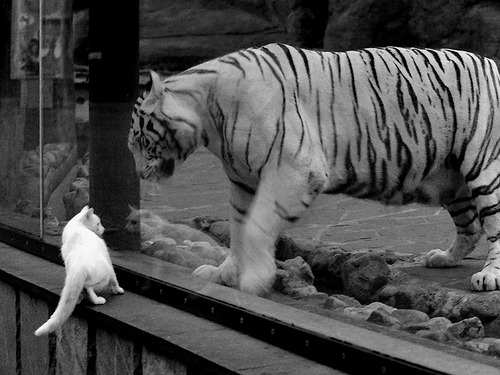 跨越时空的唯一对决，当智利黄金一代在伯纳乌遭遇数据爆炸的奥纳纳