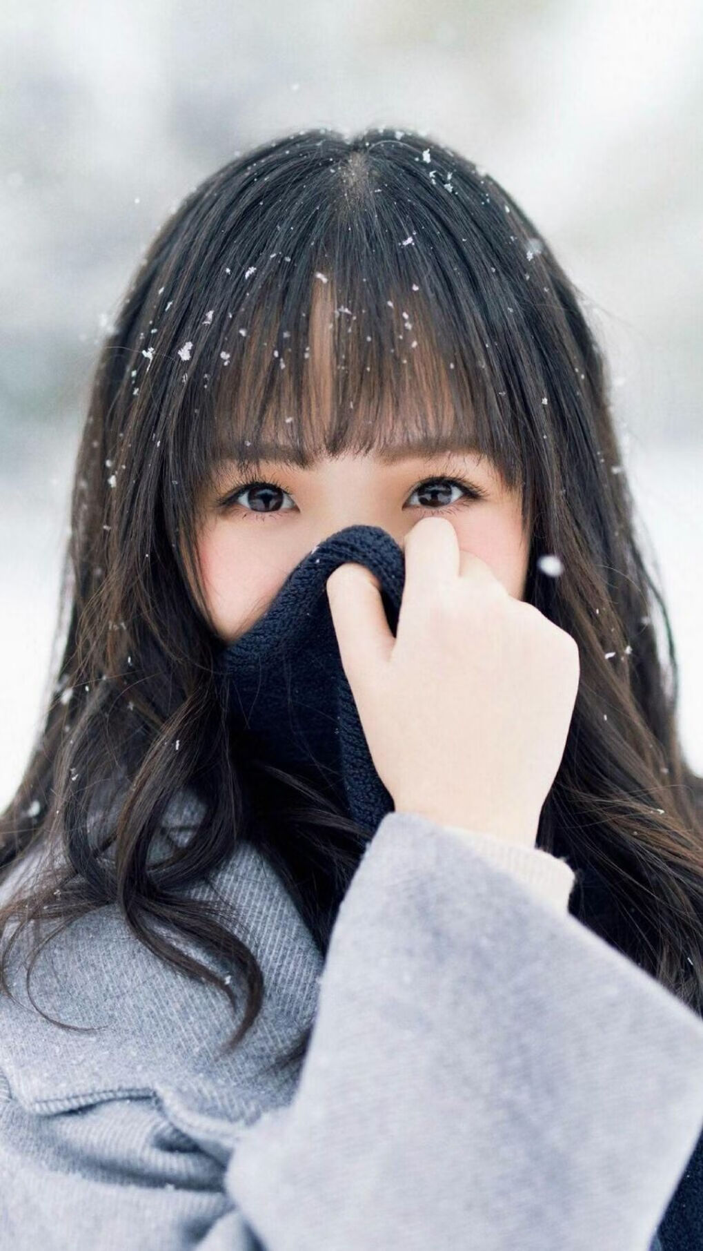 胜利催化剂,霍勒迪的无声指挥棒引领德甲争冠之夜