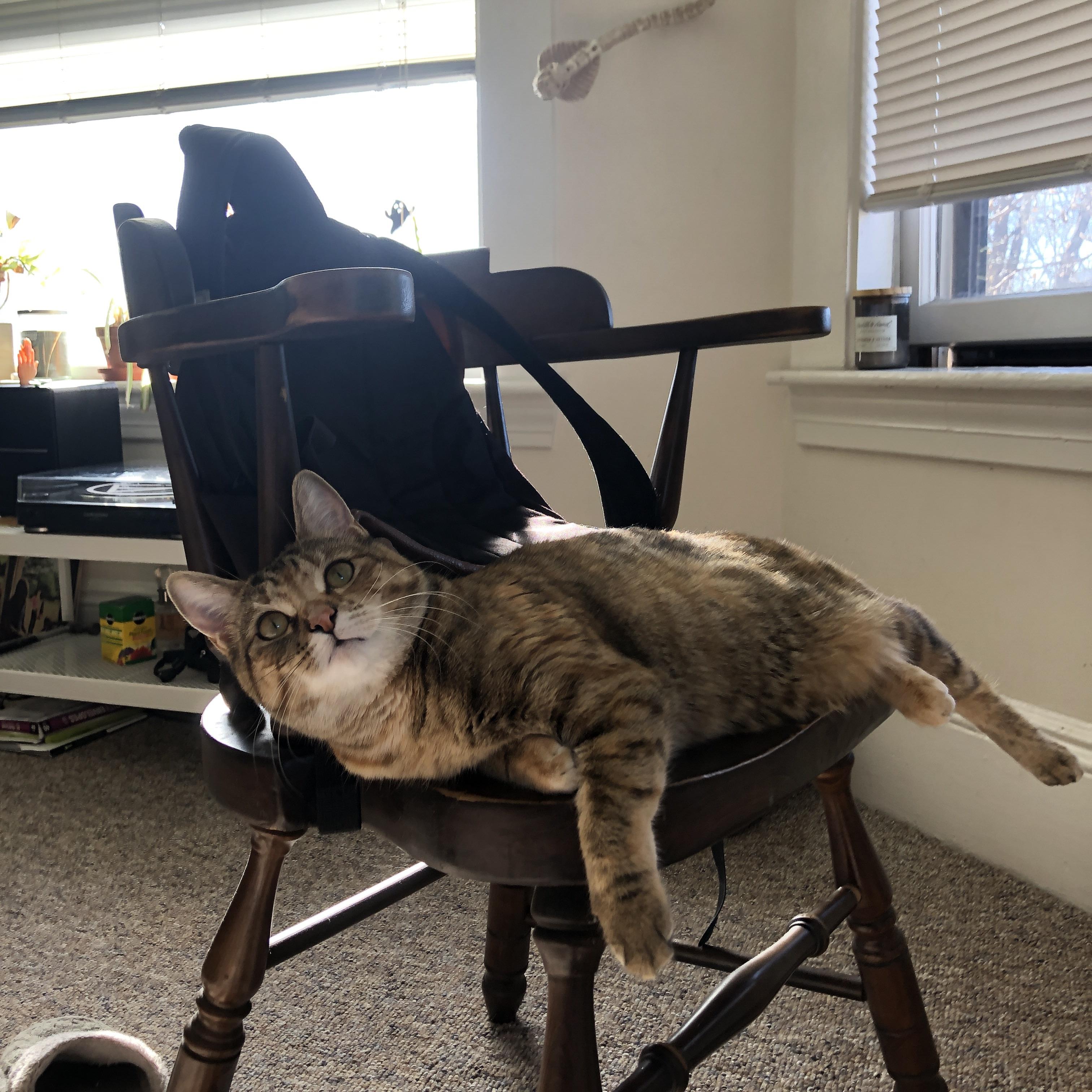 非洲雄鹰压哨撕裂钢铁洪流，格纳布里在年度慈善焦点战接管比赛