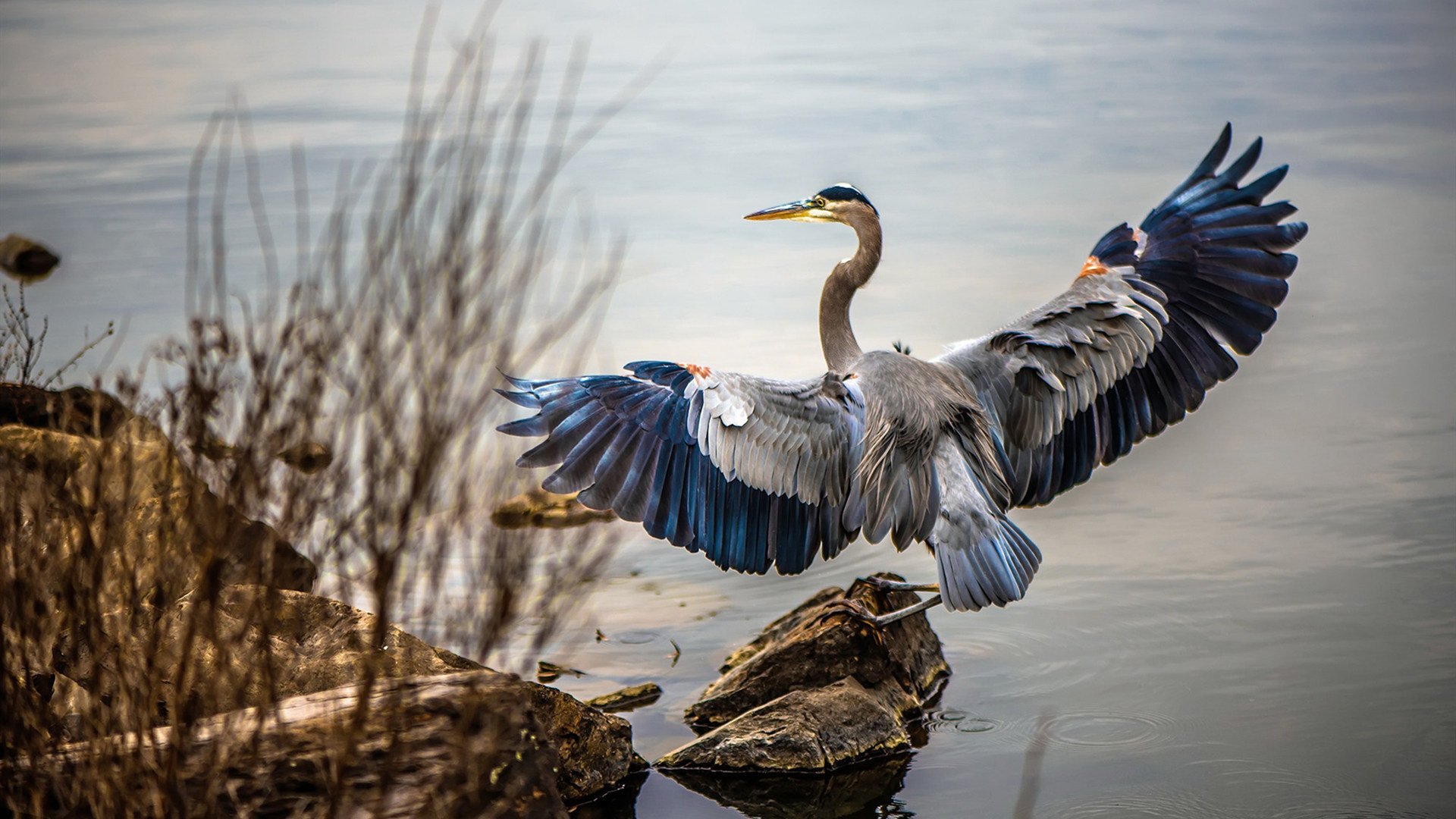 德甲争冠夜，他在千里之外的客厅为儿子尖叫，霍勒迪父亲的隔空连线