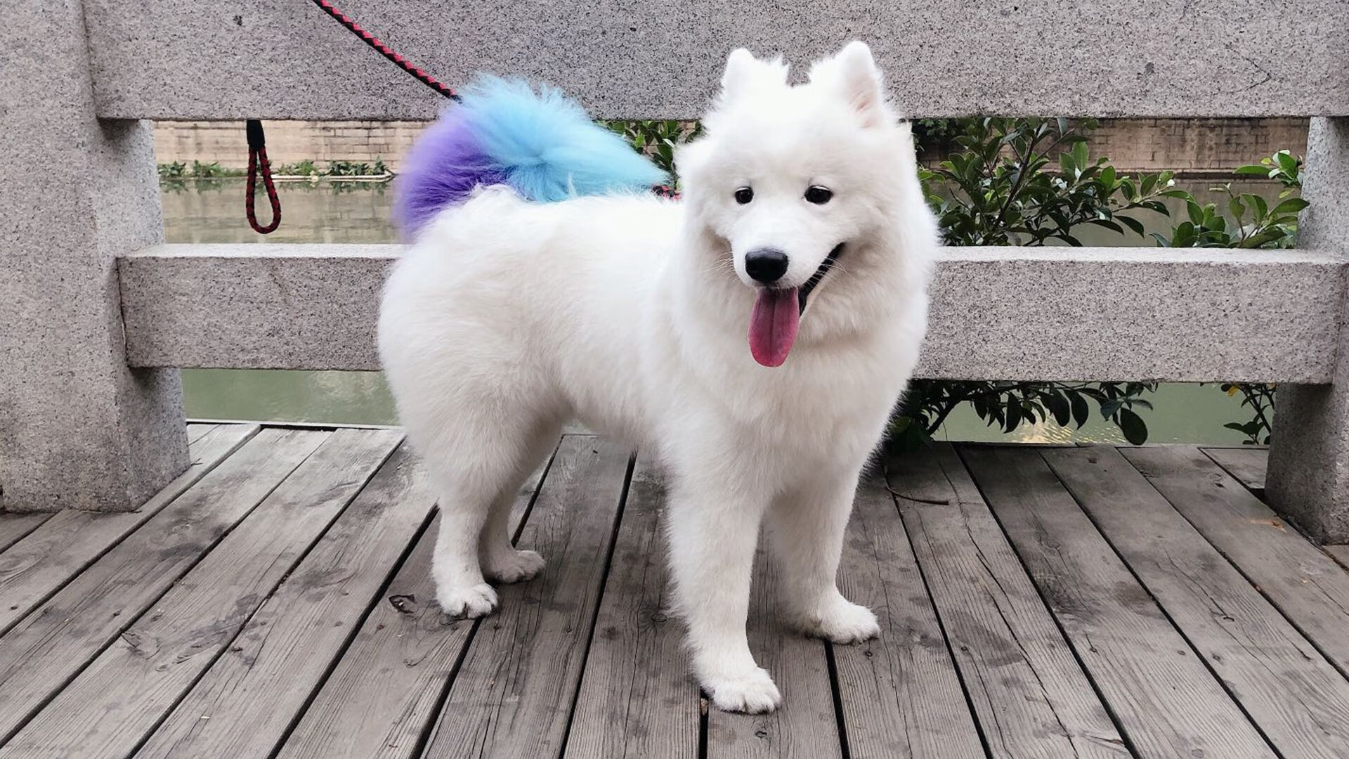 导火索与终场哨，无名者布雷默，如何让国家德比之夜在轰鸣中提前谢幕