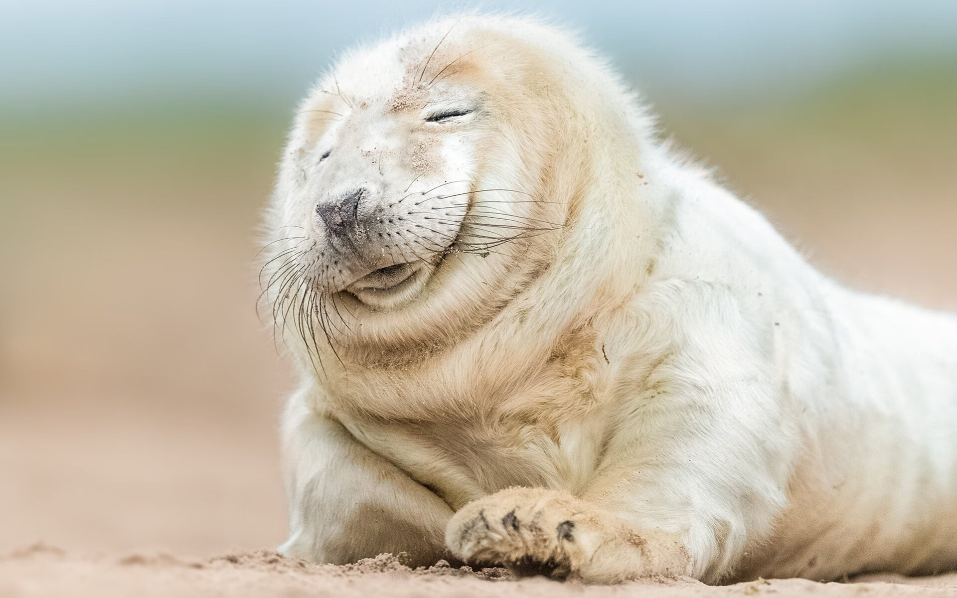 将命运射入篮筐，东决关键战之夜，拉梅洛用巨星之姿消融一切质疑