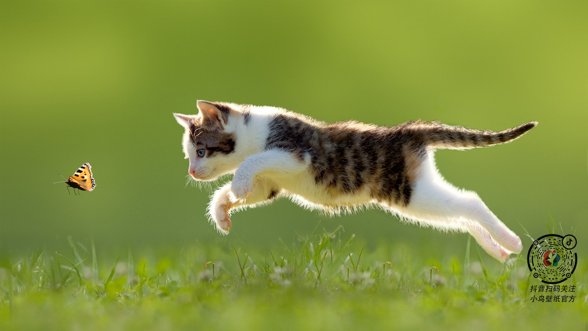 世界杯之夜诞生最意外数据单,当霍勒迪的名字响彻1.2亿人的狂欢