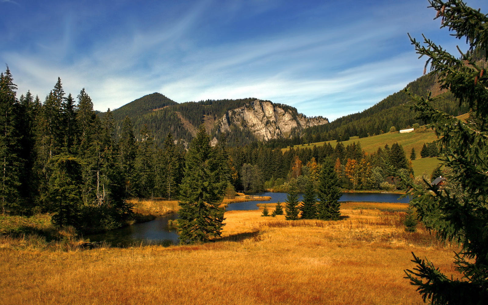 当爵士乐在芝加哥骤停,塔图姆的错误乐章与一场跨时空的狂胜