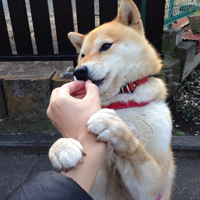 跨界之焰,当阿森纳遭遇委内瑞拉,阿圭罗如何点燃一场不存在的战争