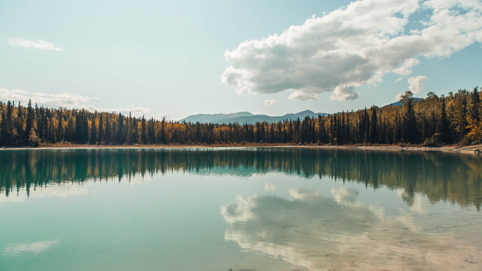 冰与火之歌,当武切维奇以暗影姿态切割鹈鹕的天空