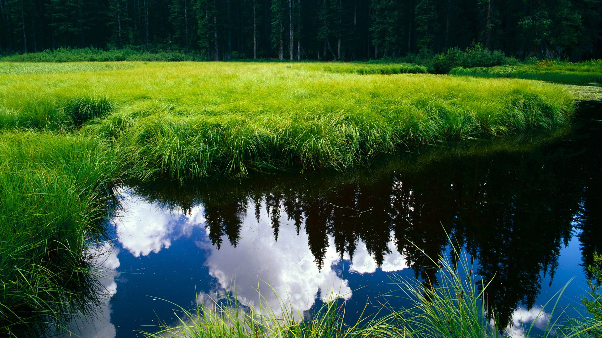 收割与绽放,团队铁律与天才法则的绿茵对话