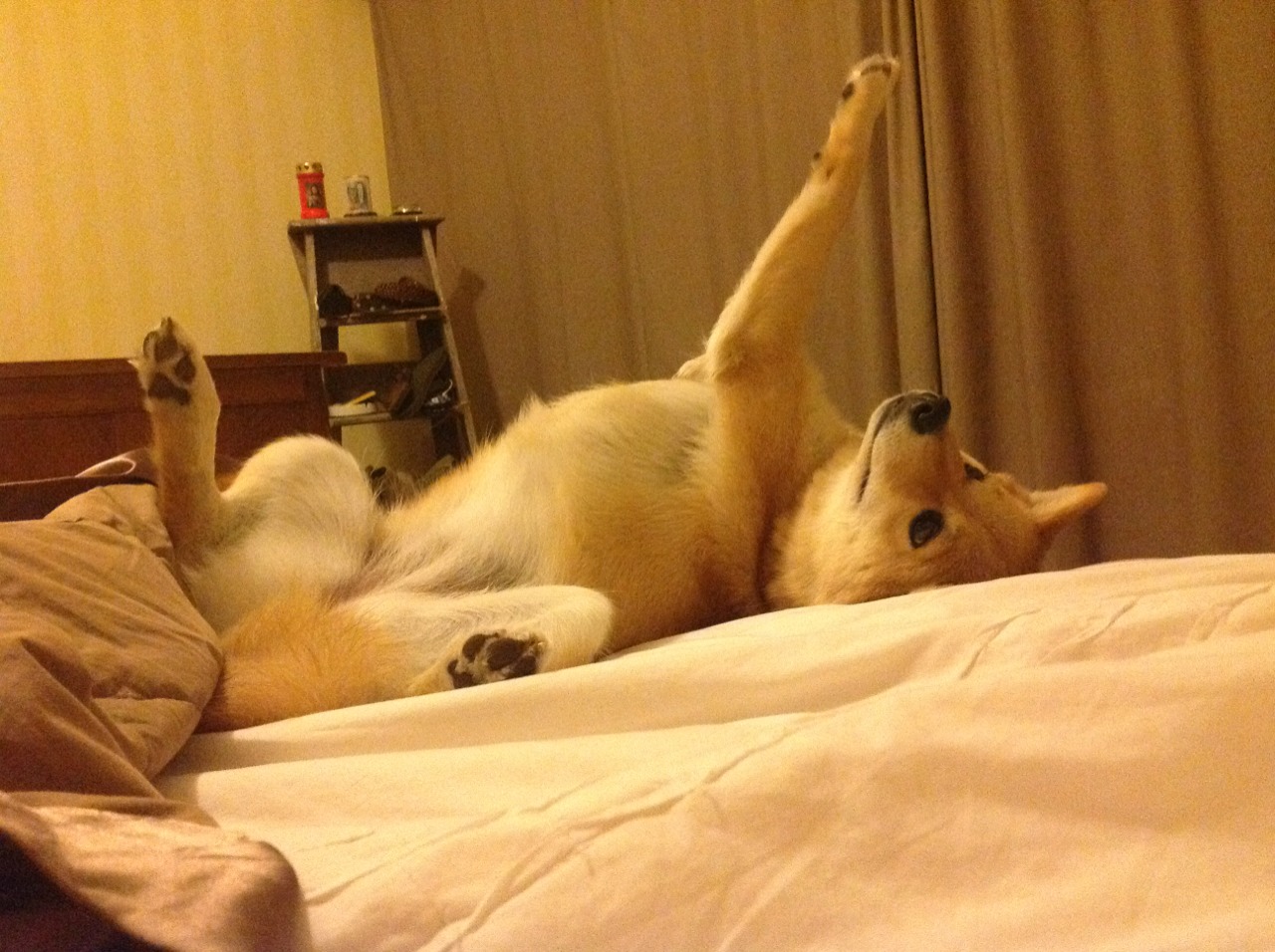 铁血马竞擒蓝黑,罗德里一锤定音