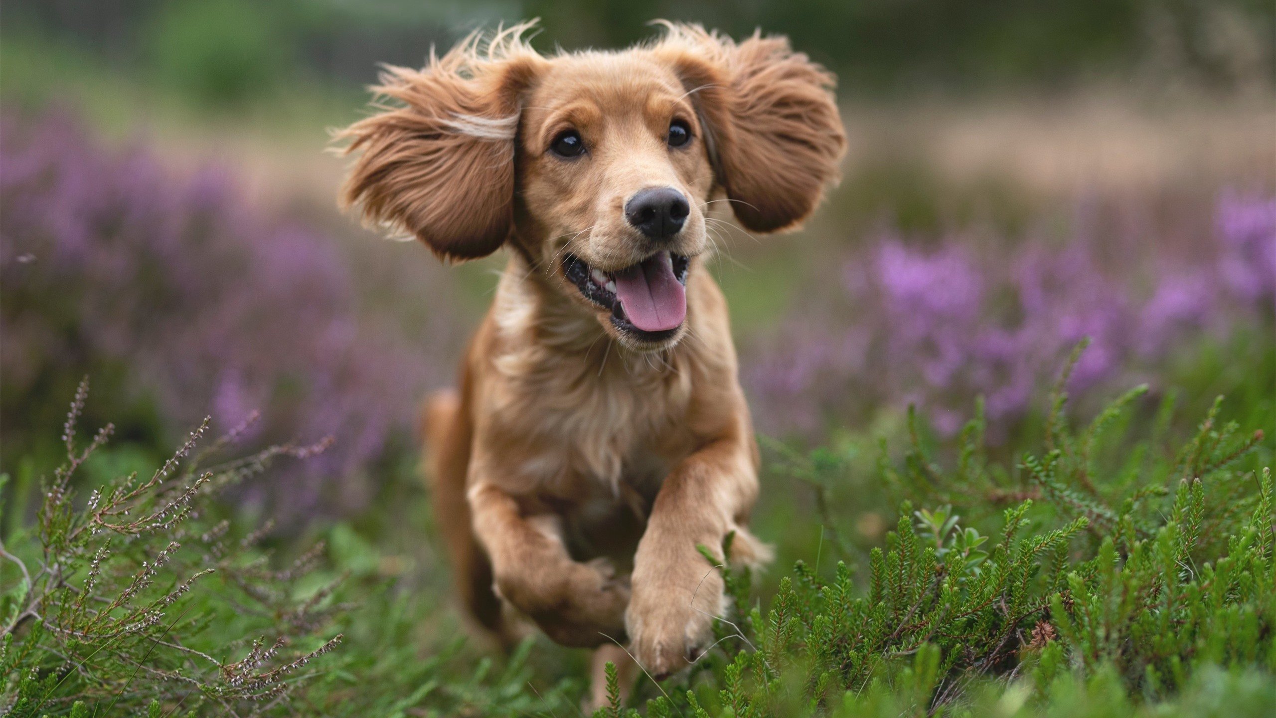 铁血征服几内亚—马竞用秩序绞杀野性,维尼修斯们的利刃撞上花岗岩