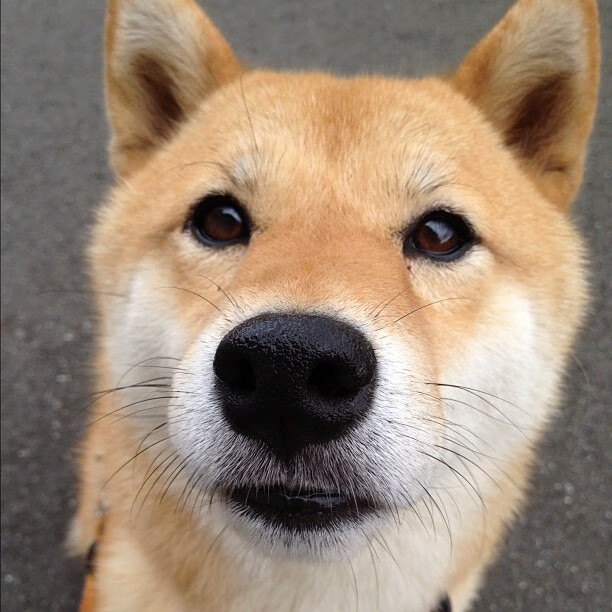 铁血征服几内亚—马竞用秩序绞杀野性,维尼修斯们的利刃撞上花岗岩