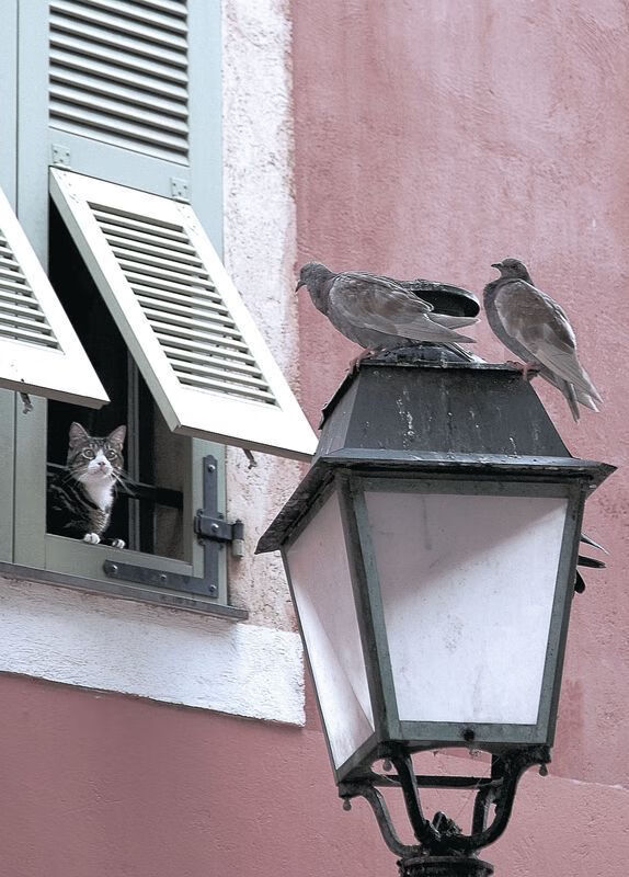 当绿茵场化为季后赛舞台,今夜,黄喜灿上演篮球式终极个人秀