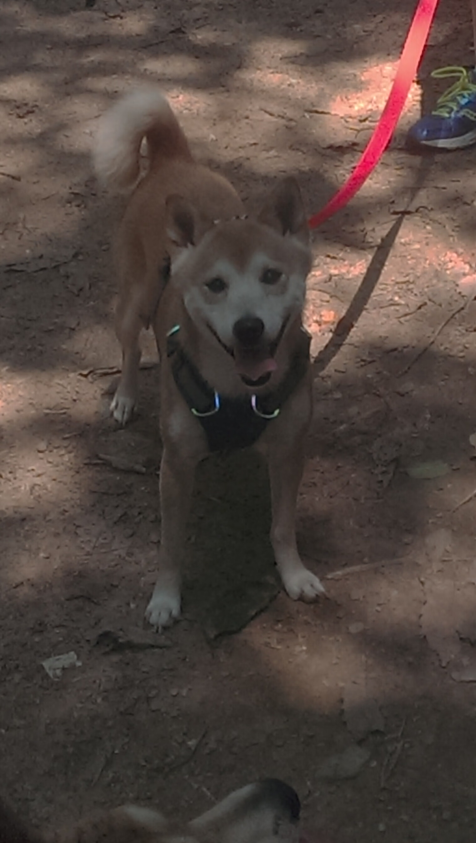 冰与火的淬炼，托尼的十四秒与两个国家的二十年