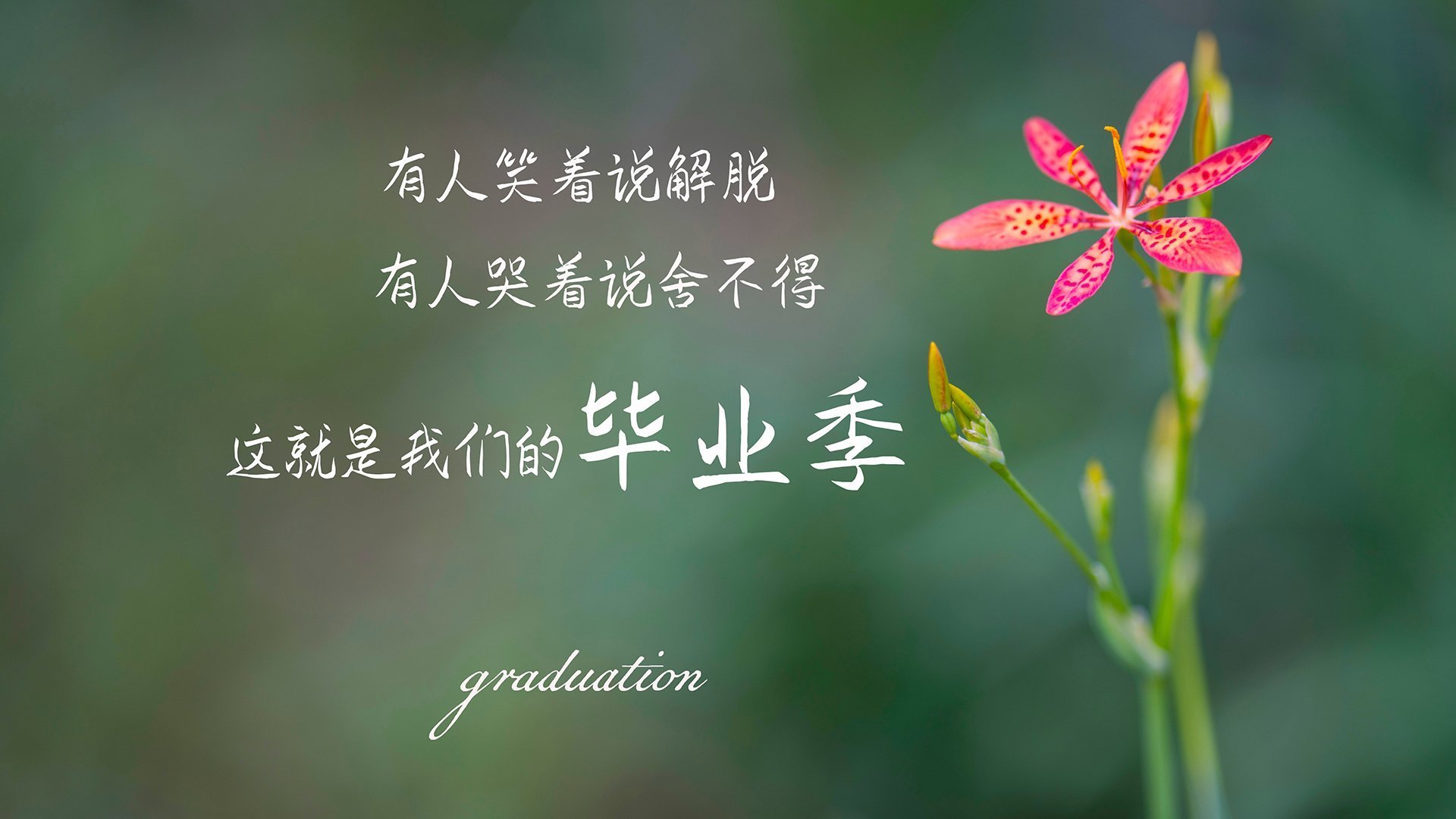 末节英雄！卡拉斯科独揽14分率阿尔及利亚逆袭，终结土耳其不败神话