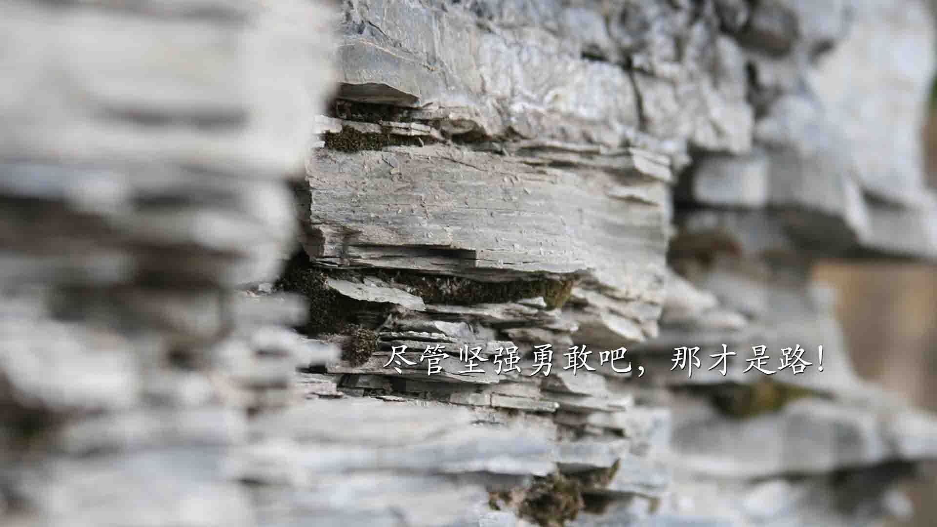 九十分钟的独白，费利克斯的致命一击，与那场不可复制的唯一