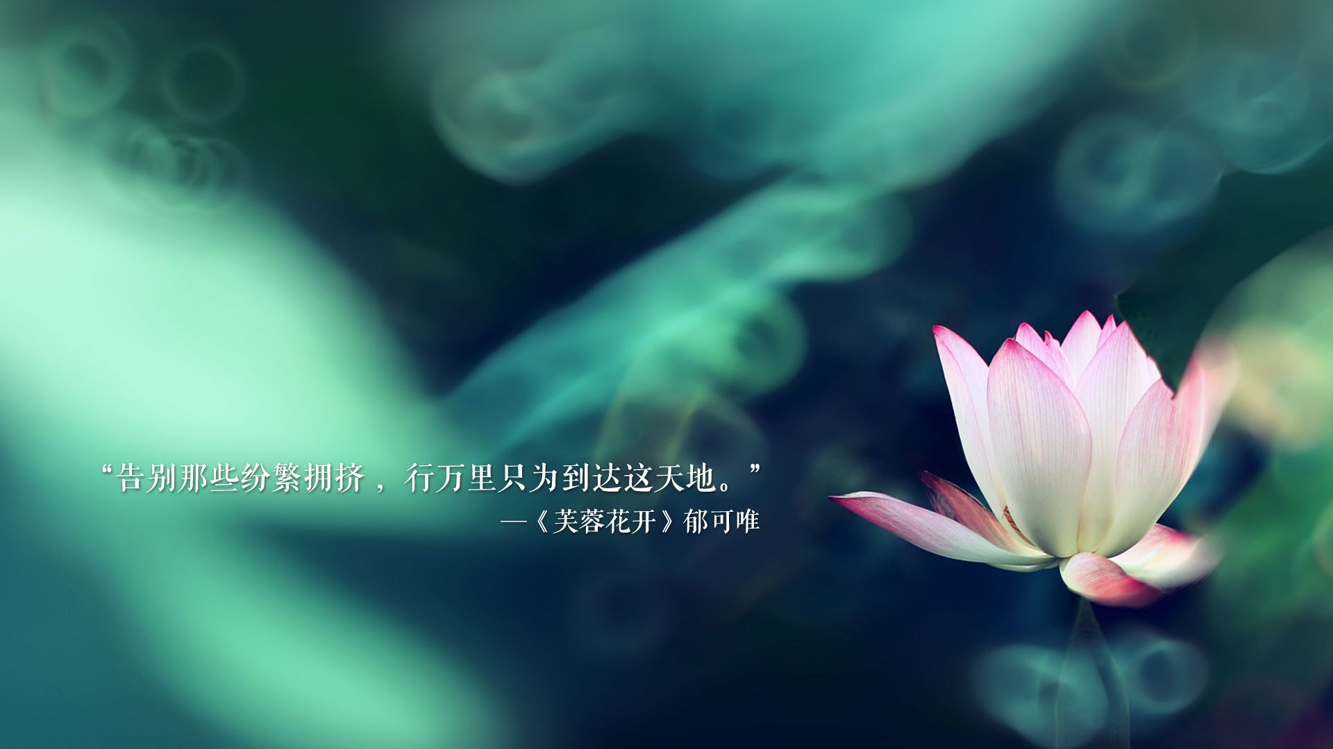 多哈血案，当东道主魔咒遭遇姆巴佩的王权反噬，德国战车碾碎的不止是卡塔尔
